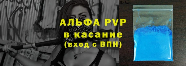шишки Лабытнанги
