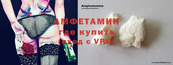 шишки Лабытнанги