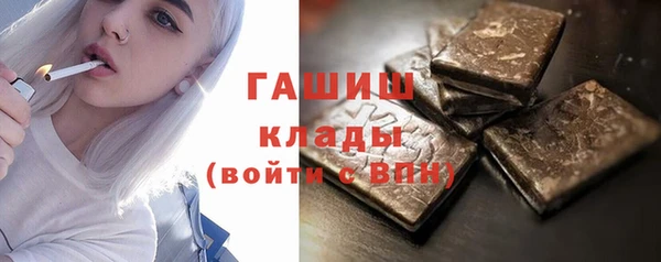 шишки Лабытнанги