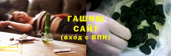 шишки Лабытнанги