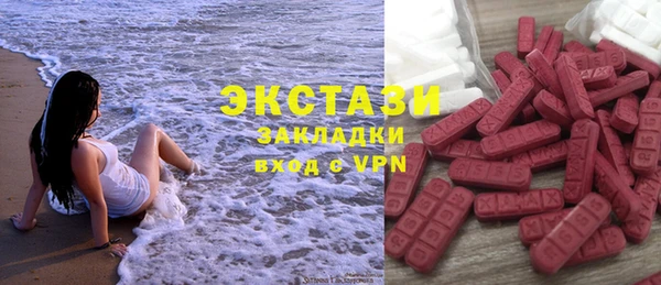 шишки Лабытнанги