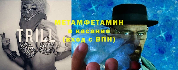 шишки Лабытнанги