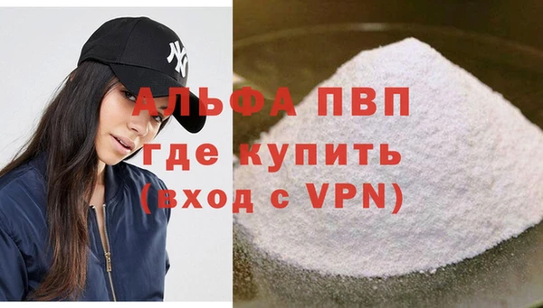 шишки Лабытнанги