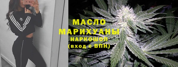 шишки Лабытнанги