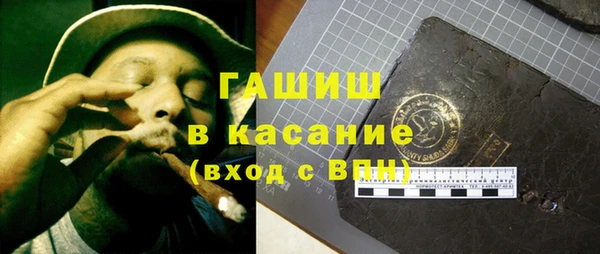 шишки Лабытнанги