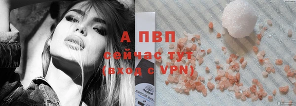 шишки Лабытнанги